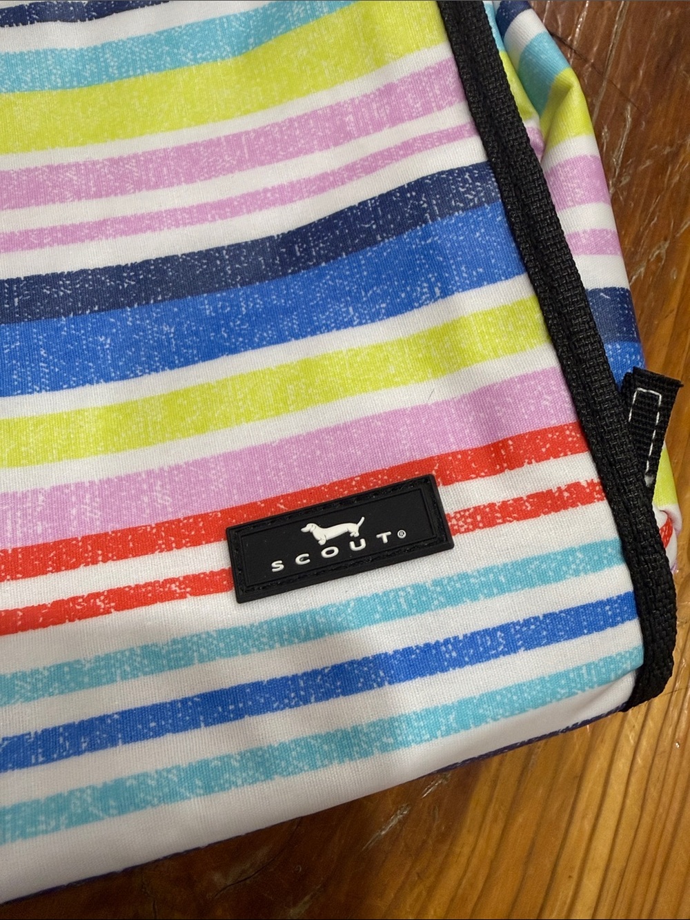 Scout Multicolor Striped Cosmetic Pouch in Red, Blue, Yellow, Pink, Green - Picture 2 of 8